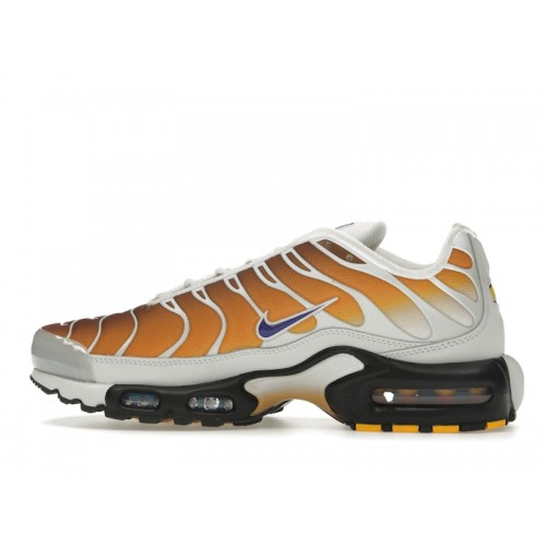 Nike One Block Down x Air Max Plus Reverse Pack - Cold Sun - мужская сетка размеров