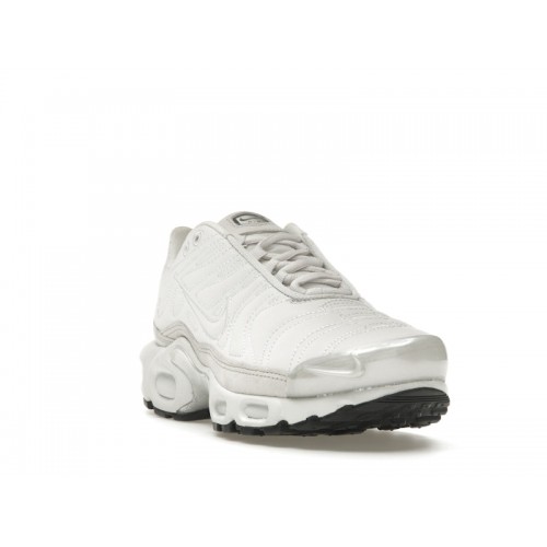 Кроссы Nike Air Max Plus Platinum Tint (W) - женская сетка размеров