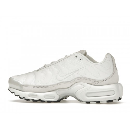 Кроссы Nike Air Max Plus Platinum Tint (W) - женская сетка размеров