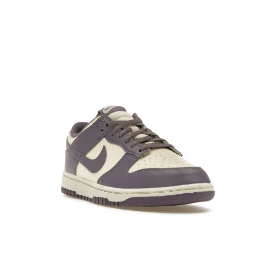 Кроссы Nike Dunk Low Next Nature Daybreak (W) - женская сетка размеров