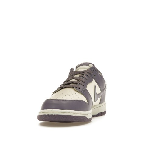 Кроссы Nike Dunk Low Next Nature Daybreak (W) - женская сетка размеров