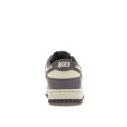 Кроссы Nike Dunk Low Next Nature Daybreak (W) - женская сетка размеров