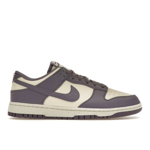 Кроссы Nike Dunk Low Next Nature Daybreak (W) - женская сетка размеров