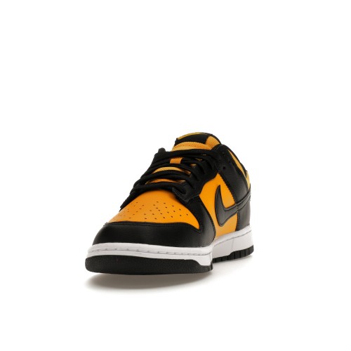 Кроссы Nike Dunk Low Reverse Goldenrod (2024) - мужская сетка размеров