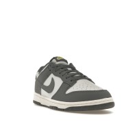 Nike Dunk Low Next Nature Iron Grey Lightning