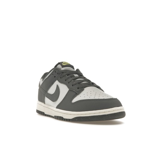 Кроссы Nike Dunk Low Next Nature Iron Grey Lightning - мужская сетка размеров