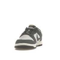 Nike Dunk Low Next Nature Iron Grey Lightning