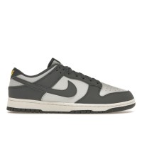 Кроссовки Nike Dunk Low Next Nature Iron Grey Lightning