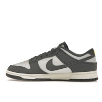 Nike Dunk Low Next Nature Iron Grey Lightning