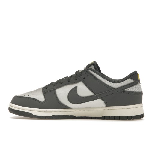 Кроссы Nike Dunk Low Next Nature Iron Grey Lightning - мужская сетка размеров