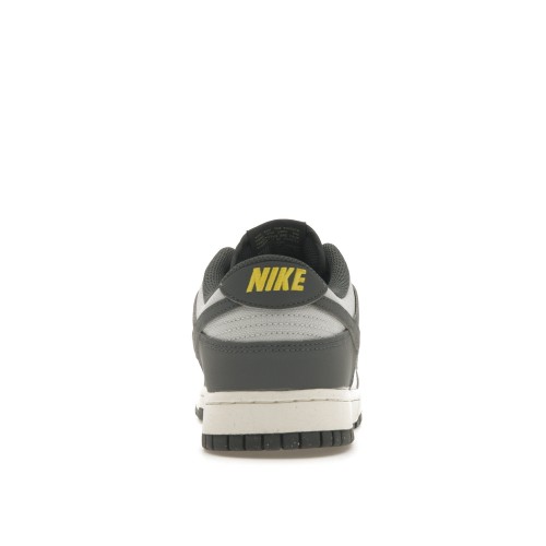 Кроссы Nike Dunk Low Next Nature Iron Grey Lightning - мужская сетка размеров