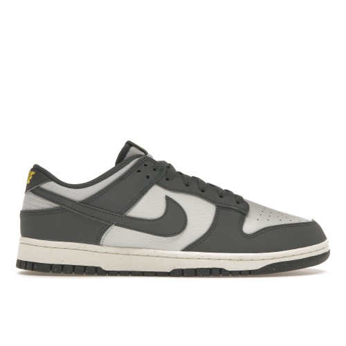 Кроссы Nike Dunk Low Next Nature Iron Grey Lightning - мужская сетка размеров