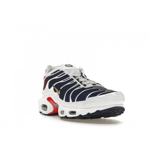 Кроссы Nike Air Max Plus PSG - мужская сетка размеров