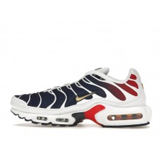 Nike Air Max Plus PSG