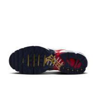 Nike Air Max Plus PSG