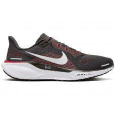 Кроссовки Nike Air Zoom Pegasus 41 Tampa Bay Buccaneers