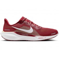 Кроссовки Nike Air Zoom Pegasus 41 Florida State