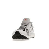 Кроссовки adidas Ultra Boost DNA 5.0 Zebra