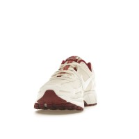 Женские кроссовки Nike Zoom Vomero 5 Valentines Day (W)