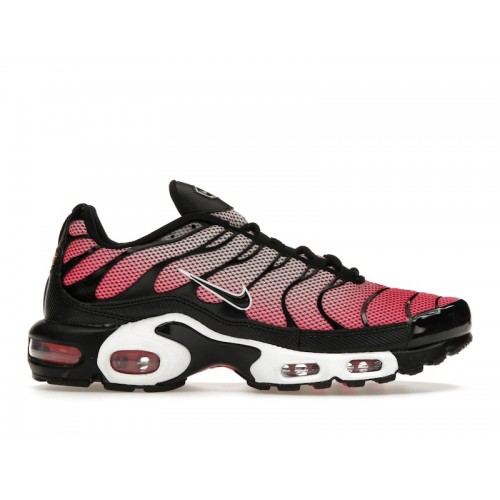 Кроссы Nike Air Max Plus All Day - мужская сетка размеров