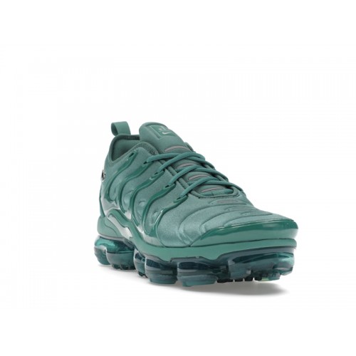 Nike Wmns Air Vapormax Plus Bicoastal - женская сетка размеров