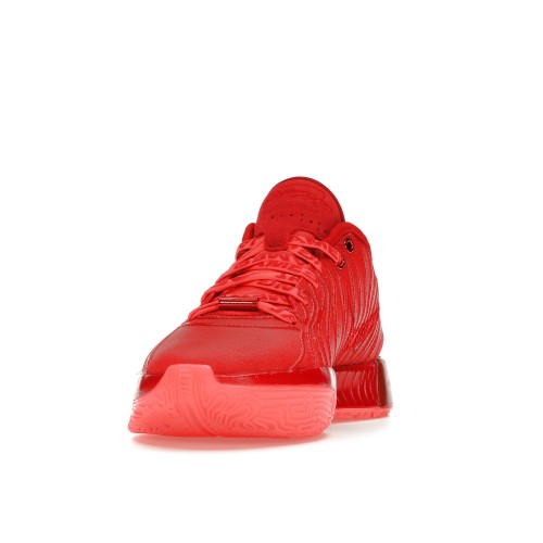Кроссы Nike LeBron 21 James Gang - мужская сетка размеров