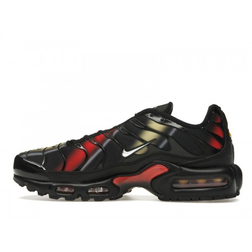 Кроссы Nike Air Max Plus Orbit (W) - женская сетка размеров
