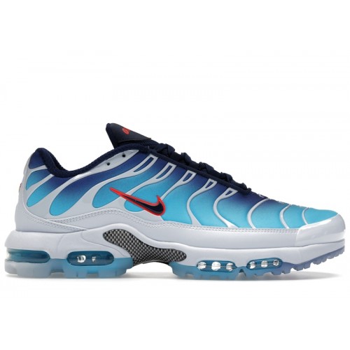 Nike Air Max Plus Golf PGA Championship - мужская сетка размеров