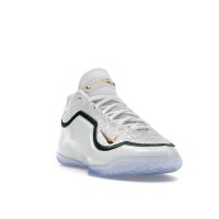 Nike LeBron 23 From This Point Forward