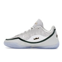 Nike LeBron 23 From This Point Forward