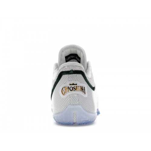 Nike Lebron 23 From This Point Forward - мужская сетка размеров