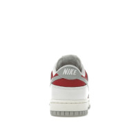Nike Dunk Low Light Iron Ore Gym Red