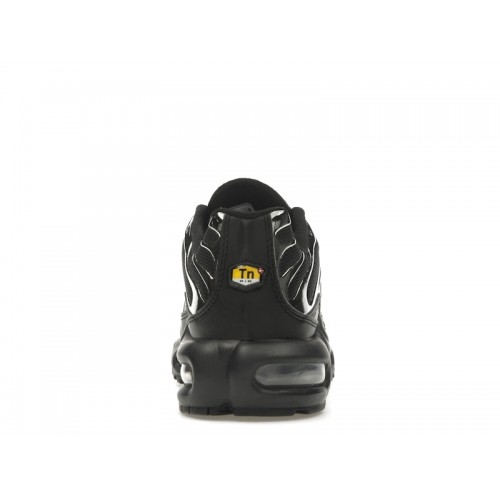 Nike Wmns Air Max Plus SE Black Chrome Silver - женская сетка размеров