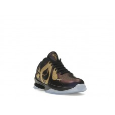 Подростковые Nike Kobe 5 Year of the Mamba Eggplant (GS)