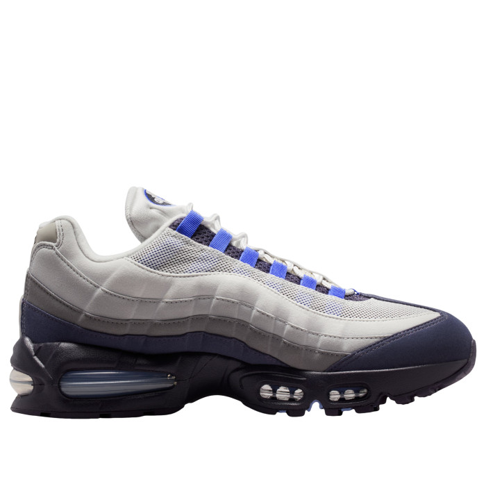 Nike Air Max 95 Photon Dust Sapphire Raisin - мужская сетка размеров Nike Air Max 95 Photon Dust Sapphire Raisin - мужская сетка размеров