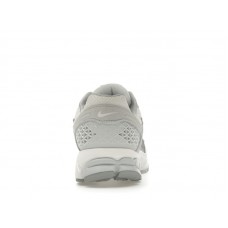Женские Nike Zoom Vomero 5 Pure Platinum Platinum Tint Wolf Grey Summit White (W)