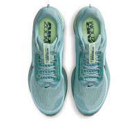 Nike Air Zoom Pegasus Premium Cannon
