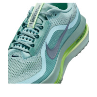 Nike Air Zoom Pegasus Premium Cannon