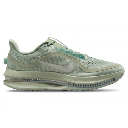 Кроссы Nike Air Zoom Pegasus Premium Jade Horizon - мужская сетка размеров