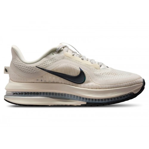 Кроссы Nike Air Zoom Pegasus Premium Sail Off Noir (W) - женская сетка размеров