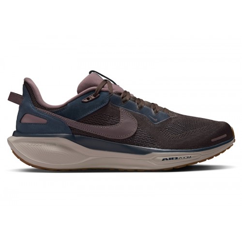 Кроссы Nike Air Zoom Pegasus 41 SP Black Tea Dark Obsidian - мужская сетка размеров