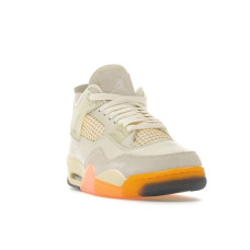 Женские Jordan 4 Retro Birds of Paradise (W)