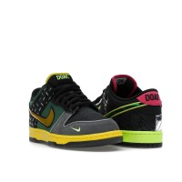 Nike Dunk Low What the Duck Home University of Oregon PE