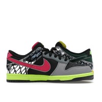 Nike Dunk Low What the Duck Home University of Oregon PE