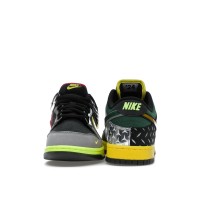 Nike Dunk Low What the Duck Home University of Oregon PE