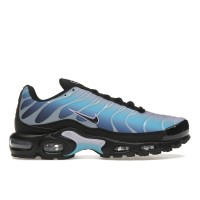 Женские кроссовки Nike Air Max Plus Black Hydrangeas (W)