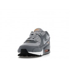 Nike Air Max 90 Cool Grey Sundial