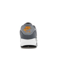 Nike Air Max 90 Cool Grey Sundial