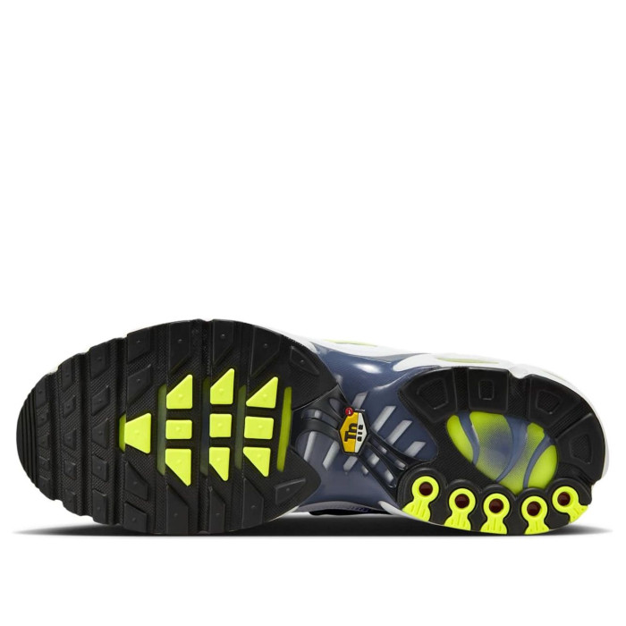 Nike Air Max Plus Pebble Grey Lime - мужская сетка размеров Nike Air Max Plus Pebble Grey Lime - мужская сетка размеров