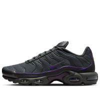 Nike Air Max Plus OG Iron Grey Wild Grape